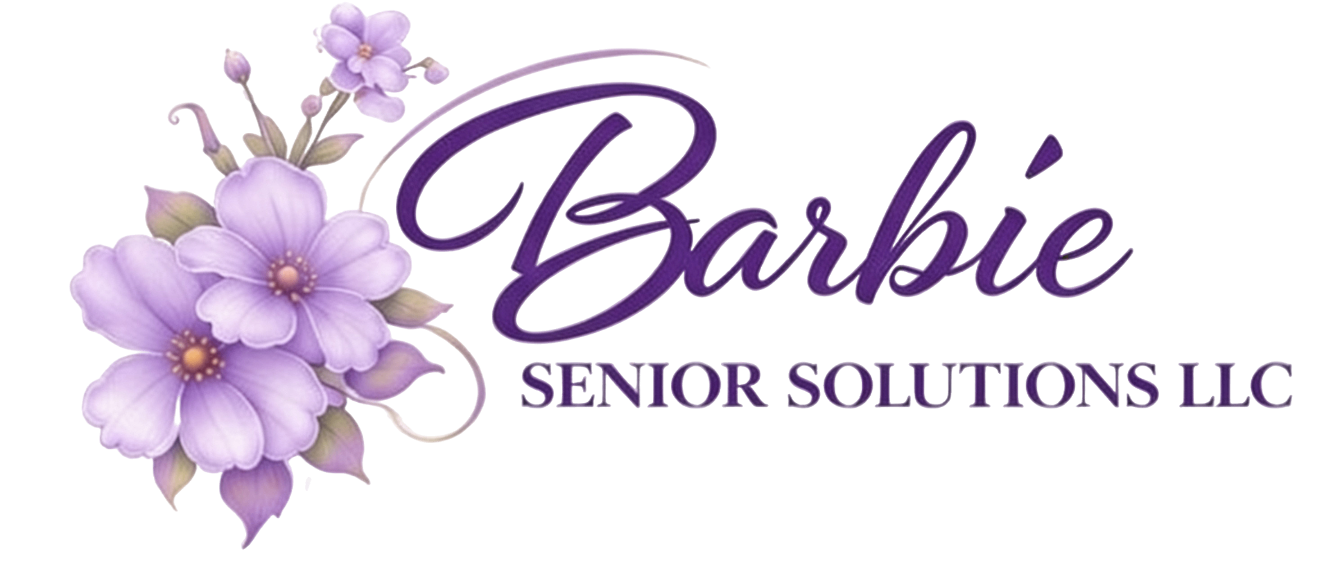 Barbie Senior Solutions LLC